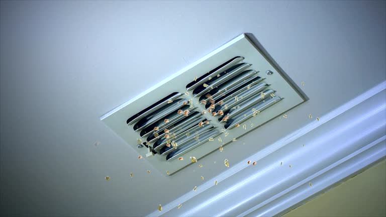 Best Air Duct Cleaning Company Near Me  in Bowie, TX